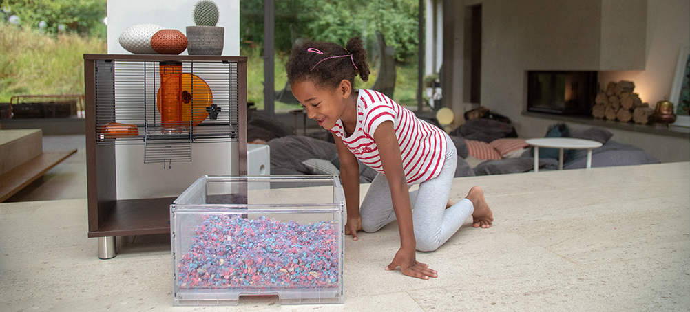 Qute Hamster Gerbil Cage with storage Four Legs or Wings Pets